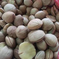 Jengkol 1 Kilo gram