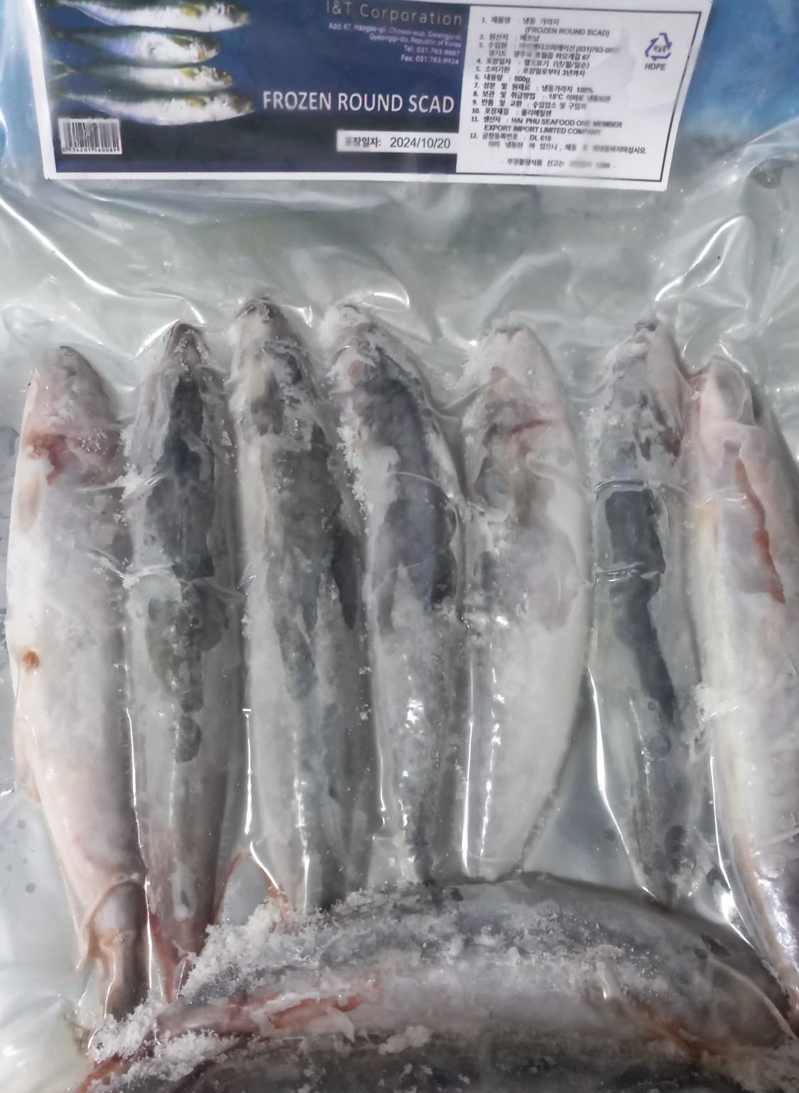 ikan tongkol galunggung asia mart 800g