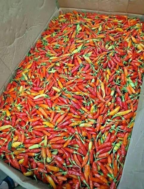Cabe mercon/ rawit indo 500g