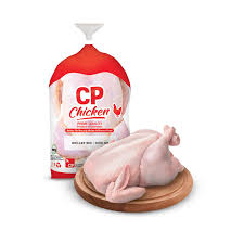 Ayam Sayur